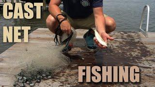 Topsail Island NC Cast Net Fishing | Fishing with a Cast Net on Topsail Island NC