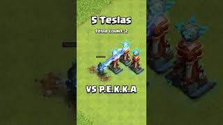 Who Can SURVIVE 5 Hidden Tesla?