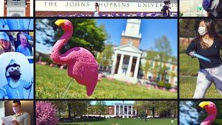 Scenes from Around the Johns Hopkins University Campus