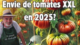 Tomates juteuses, légumes croquants : la consoude dévoile tous ses secrets.