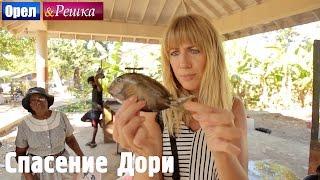 Спасение рыбки Дори! Орёл и Решка. Рай и Ад