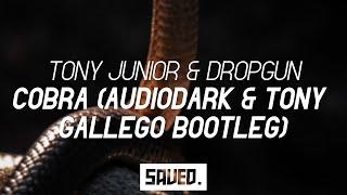 Tony Junior & Dropgun - Cobra (AudioDark & Tony Gallego Bootleg)