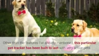 Tagg Pet Tracker Review - Tagg Pet Tracker Pros, Cons & Where To Buy