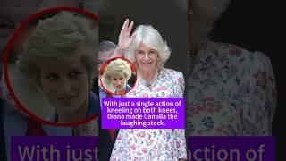 With just a single action of kneeling on both knees, Diana made Camilla the laughing stock. #Diana