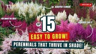 EASY TO GROW! TOP 15 PERENNIALS THAT THRIVE IN SHADE!  // Gardening Ideas