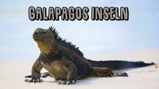 Galapagos Inseln - Ein Abstecher ins Paradise // Bikepacking around the world [99]