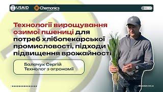 Технологія вирощування озимої пшениці - навчання (за сприяння Програми USAID-Агро)