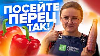 ПОСЕВ ПЕРЦА! Эксперимент