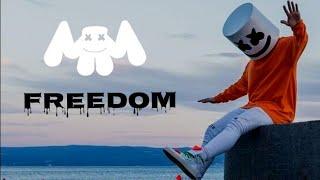 LŠV,Riemann walker - Freedom "Marshmello style" (Official Music Video 2019)