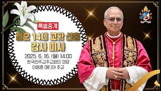 [특별중계] 레오 14세 교황 선출 감사 미사 | 2025년 6월 16일 (월) 오후 2시