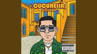 CUCURELLA