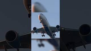 Frenchbee A350 LANDING 🩵 #aviation #a350 #shorts #plane #trending #youtube #foryou #fyp #landing