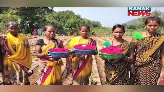 Empowered Women Cultivate Roses in Remote Areas, Achieving Self-Sufficiency