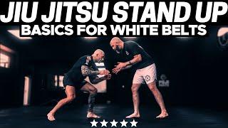 STAND UP BASICS FOR WHITE BELTS