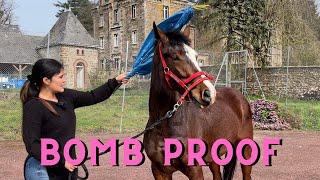 The Chateau Horse -  Lets Make Her Bomb Proof!