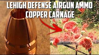 Airforce Airguns Texan .50 cal + Lehigh Defense Big Bore Airgun Ammo = Copper Carnage!