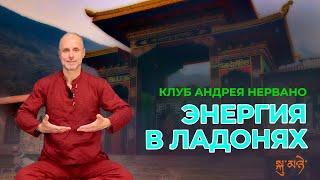 Цигун для начинающих: раскрываем ладони и ощущаем пространство