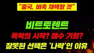 "중국, 비축 채택할 것" 비트토렌트 폭락의 시작? 매수 기회? 잘못된 선택은 '나락'인 이유 #비트토렌트 #비트토렌트전망 #비트토렌트코인