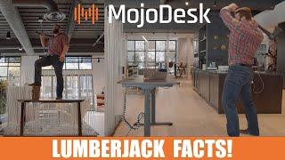 MojoDesk: Lumberjack Facts! Our Rock Solid Sit-to-Stand Desk. No Wobble, Lifts over 250 pounds.