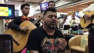 EL MIMOSO CON MARIACHI