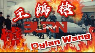 王鶴棣新歌-《燒》MVDylan Wang new song《BURN》MV #王鹤棣 #dylanwang #王鶴棣 #dylanwang王鹤棣 #왕허디