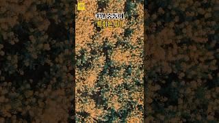 4월 숨통이 트이는 띠  #오늘의운세 #풍수 #사주 #띠별운세 #행운