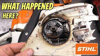I'm Seeing This A Lot Lately On STIHL Chainsaws! Saw Problem Or Operator Issue?