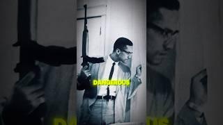 The Truth About Malcom X And MLK