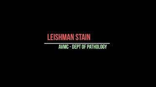Unveiling the Intricacies of Peripheral Smear Preparation with Leishman Staining