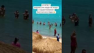 Египет 2025. Эти люди не знают о существовании БЕСПЛЯТНОГО БАРА. Хургада 2025.