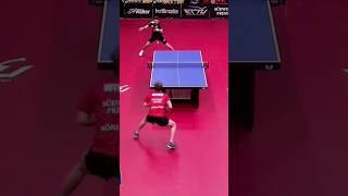 Timo Boll vs Truls Moregardh #tabletennisplayer #tennisdetable #tischtennis