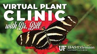 The Virtual Plant Clinic With Dr. Bill- 4 Year Anniversary!