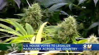 Bill to legalize marijuana passes U.S. House