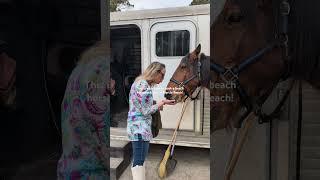 Saddle Up! Horseback Riding in Myrtle Beach is a Must-Do Adventure