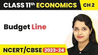 Budget Line - Theory of Consumer Behaviour | Class 11 Economics