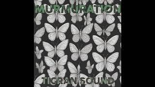 Tigran Sound - Murmuration