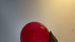 Balloon episode #80357