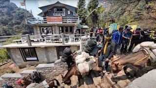 Crowd on the way to Everest Base Camp Trek in October via Namche Bazar | Walking under Mount Everest