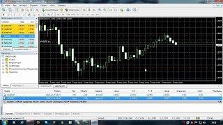 FOREX для начинающих. Торговая платформа MetaTrader для торговли