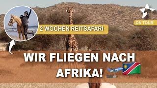 Wir fliegen nach Afrika !️ 2 Wochen Reitsafari  | Anreise in die Wüste