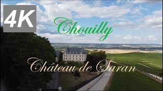 Château de Saran - Chouilly