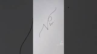 Classy Handwritten Signature Designs for letter V #v #signature #classy #art