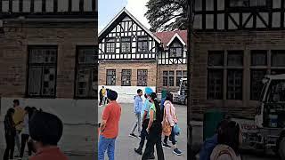 +919781812751 book shimla tour package by s jawala tour and travels amritsar chandigarh