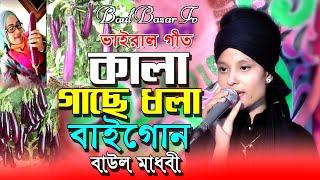 হায়রে কালা গাছে ধলা বাইগোন l বাউল মাধবী l  kala gache dhola baigon l Baul Madhobi l Baul Bazar Tv