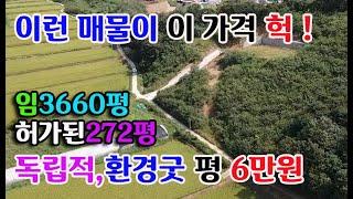 [시세이하 급매물] 독립적 한갖진 청정지역 임3660평(허가272평대지)평6만원 귀농귀촌 싼땅전문 홍성부동산 예산부동산 부동산 필