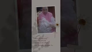Jai Guruji Maharaj  | Shukrana Guruji | #guruji #shorts #satguru #youtubeshorts #short #osho