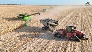 Corn Harvest 2024 with 3 John Deere X9 Combines | Mount Sterling Ohio