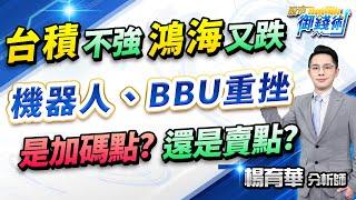 (有CC字幕)2024.12.27【台積不強鴻海又跌 機器人、BBU重挫 是加碼點?還是賣點?】#楊育華 #股市御錢術