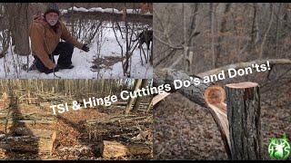 HS360 2024 Timber Stand Habitat Season do's and don'ts!