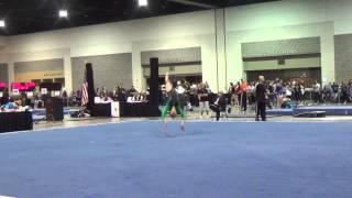 Mary Elle Arduino - Floor; Regionals April 17, 2015